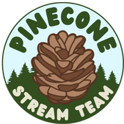 pinecone stream team